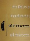 Miklós Radnóti - Strmom stazom [antikvár]