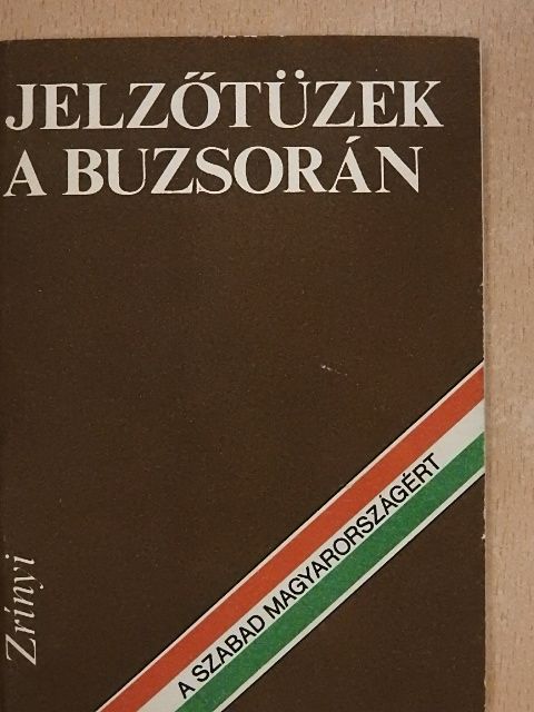 Ujvári Imre László - Jelzőtüzek a Buzsorán [antikvár]
