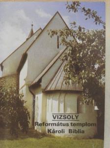 Benke György - Vizsoly - Református templom/Károli Biblia [antikvár]