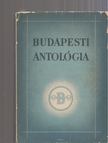 Rubinyi Mózes, Szoboszlay Ferenc - Budapesti antológia [antikvár]