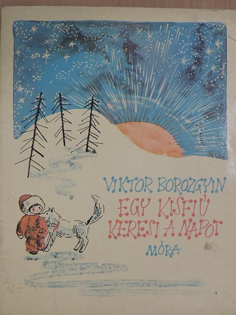 Viktor Borozgyin - Egy kisfiú keresi a napot [antikvár]