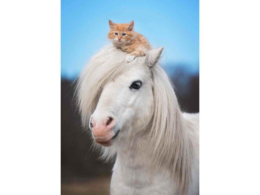 MPF21 - PONY & KITTY 3D képeslap 105x148