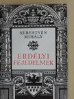 Sebestyén Mihály - Erdélyi fejedelmek [antikvár]