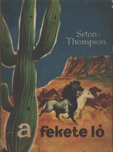 Ernest Seton-Thompson - A fekete ló [antikvár]