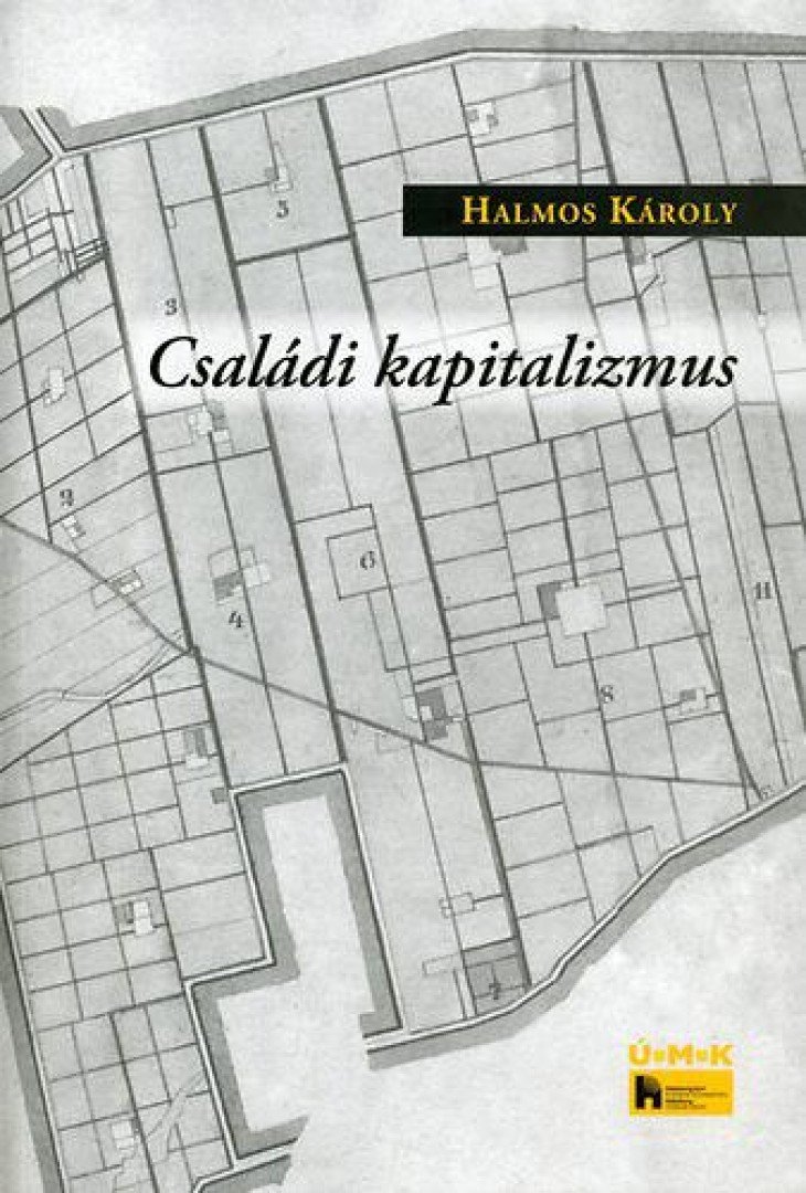 Halmos Károly - Családi kapitalizmus [antikvár]