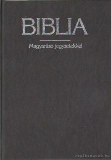 Biblia - magyarázó jegyzetekkel [antikvár]