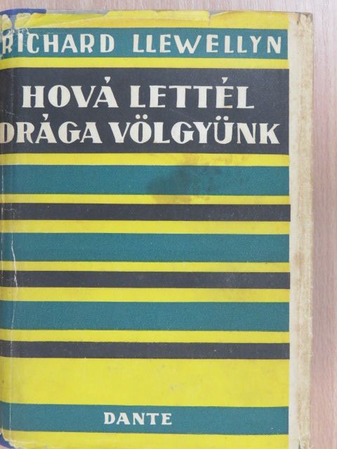 Richard Llewellyn - Hová lettél drága völgyünk? [antikvár]