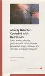 Dan J. Stein, Eric Hollander - Anxiety Disorders Comorbid with Depression [antikvár]