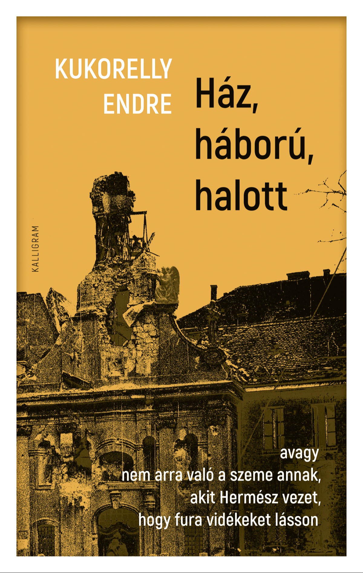 Kukorelly Endre - Ház, háború, halott [eKönyv: epub, mobi]