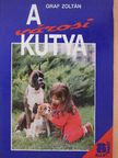 Graf Zoltán - A városi kutya [antikvár]