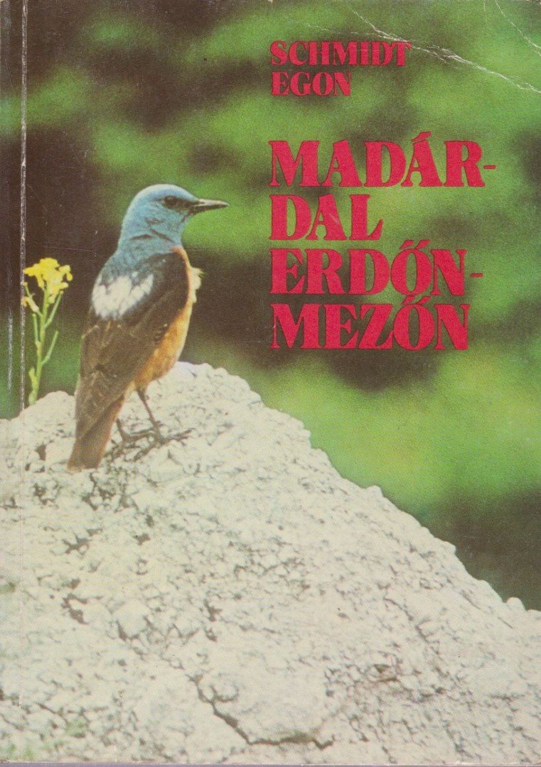 Schmidt Egon - Madárdal erdőn-mezőn [antikvár]