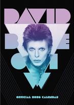 FALINAPTÁR 2026 - DAVID BOWIE - A3