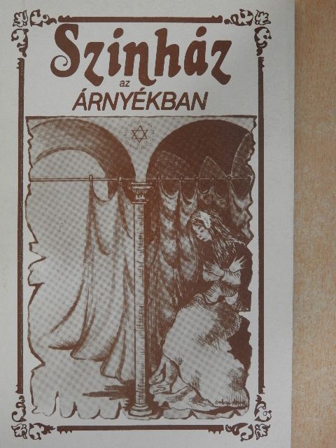 Füzesi Róbert - Színház az árnyékban [antikvár]