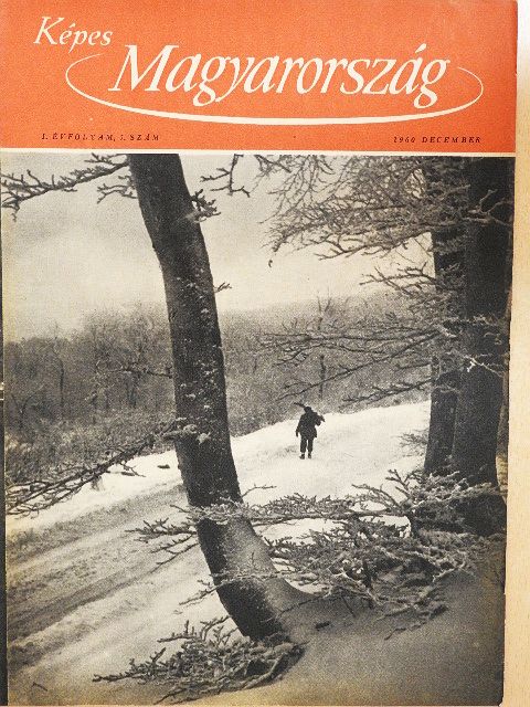 Albert István - Képes Magyarország 1960. december [antikvár]