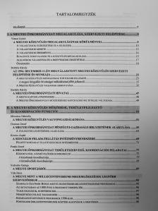 Borbély Károly - Szabolcs-Szatmár-Bereg megye önkormányzatának második 4 éve [antikvár]