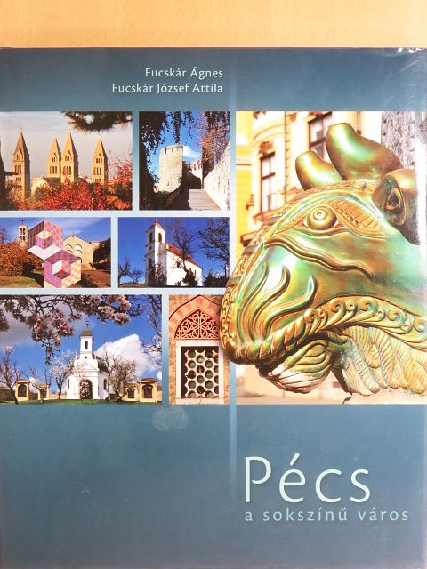 Fucskár Ágnes - Pécs a sokszínű város [antikvár]