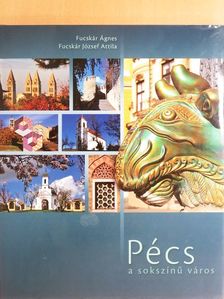 Fucskár Ágnes - Pécs a sokszínű város [antikvár]