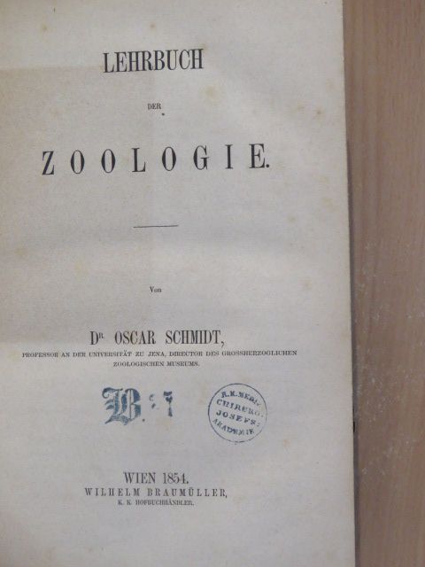 Dr. Oscar Schmidt - Lehrbuch der Zoologie [antikvár]