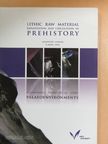 Akira Ono - Lithic Raw Material Exploitation and Circulation in Prehistory [antikvár]
