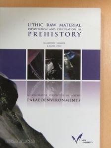 Akira Ono - Lithic Raw Material Exploitation and Circulation in Prehistory [antikvár]