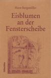 Borgsmüller, Horst - Eisblumen an der Fensterscheibe [antikvár]