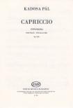KADOSA PÁL - CAPRICCIO ZONGORÁRA OP.23/H