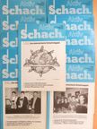 Erich Gigerl - Schach-Aktiv 1-12/2001. [antikvár]