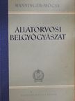 Manninger Rezső - Állatorvosi belgyógyászat II. [antikvár]