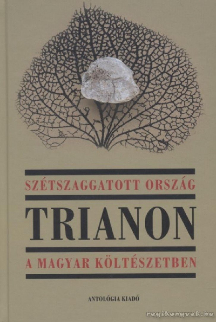 Bíró Zoltán - Szétszaggatott ország [antikvár]