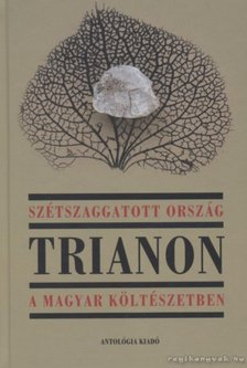 Bíró Zoltán - Szétszaggatott ország [antikvár]