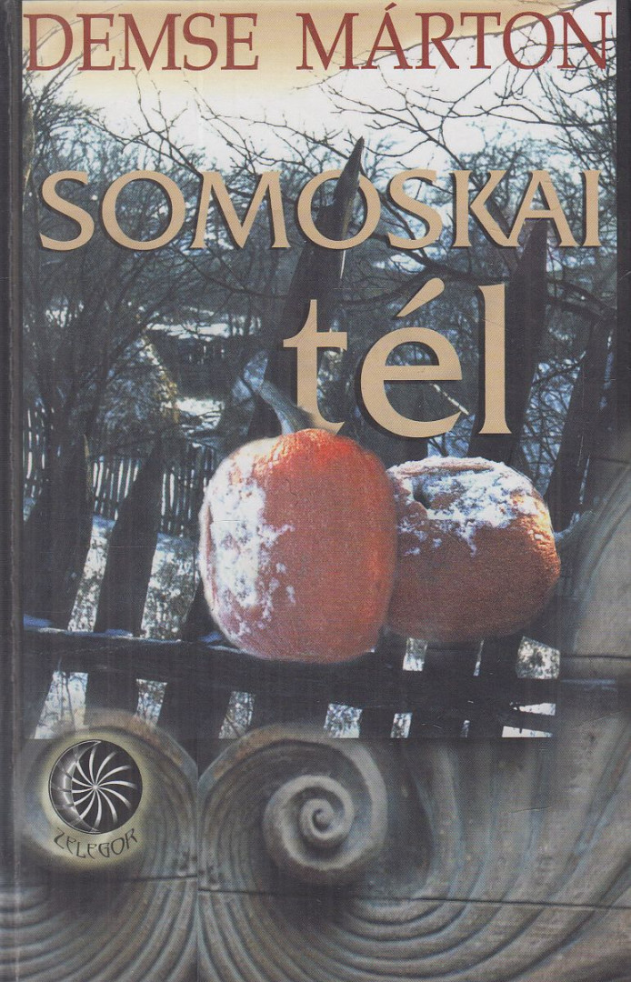 DEMSE MÁRTON - Somoskai tél (dedikált) [antikvár]