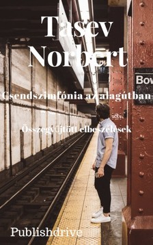 Norbert Tasev - Csendszimfónia az alagútban - Összegyűjtött elbeszélések [eKönyv: epub, mobi]