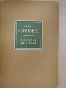 Richard Petzoldt - Franz Schubert 1797-1828 [antikvár]