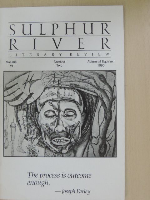 Dan Pettee - Sulphur River Autumnal Equinox 1990 [antikvár]