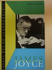 Armin Arnold - James Joyce [antikvár]