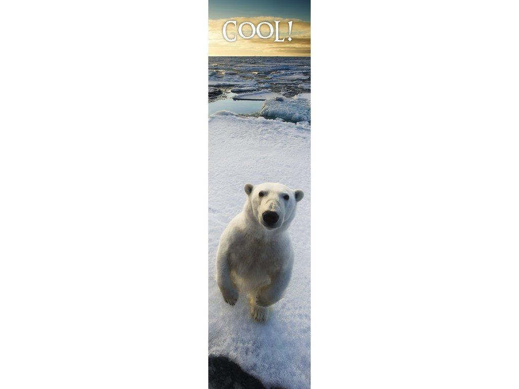 MPS61 - COOL! Bookmark 3D könyvjelző 210x55