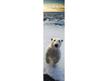 MPS61 - COOL! Bookmark 3D könyvjelző 210x55