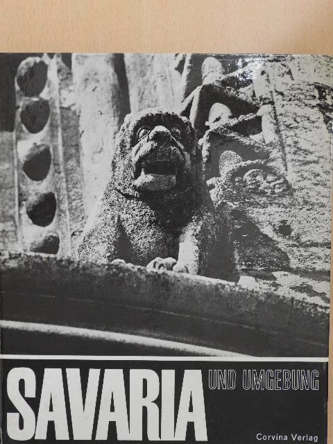 János Reismann - Savaria und Umgebung [antikvár]