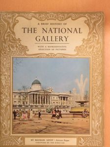Michael Levey - A Brief History of the National Gallery [antikvár]