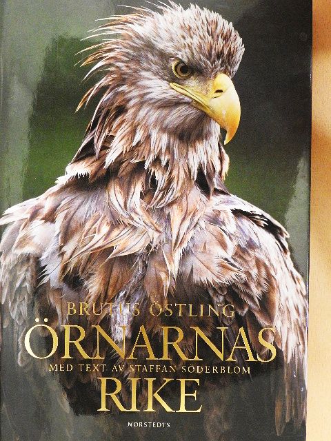Staffan Söderblom - Örnarnas Rike [antikvár]
