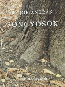 Pajor András - Rongyosok [antikvár]