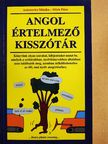 Antunovics Mónika - Angol értelmező kisszótár [antikvár]