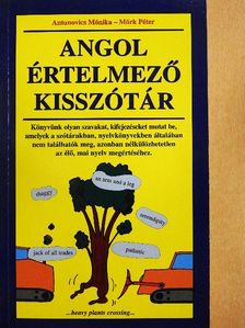 Antunovics Mónika - Angol értelmező kisszótár [antikvár]