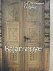 Dr. Szinetár Csaba - Bajánsenye [antikvár]