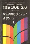 Dallos Endre, Csábi János - MS DOS 5.0 és kapcsolata a Windows 3.0-val A Qbasic I. [antikvár]