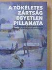 Csornyij Dávid - A tökéletes zártság egyetlen pillanata [antikvár]
