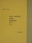 Josef A. Pilz - Ahol vagyok hadd mondom ott: Te [antikvár]