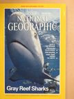Bill Curtsinger - National Geographic January 1995 [antikvár]