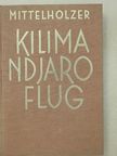 Walter Mittelholzer - Kilimandjaro Flug [antikvár]