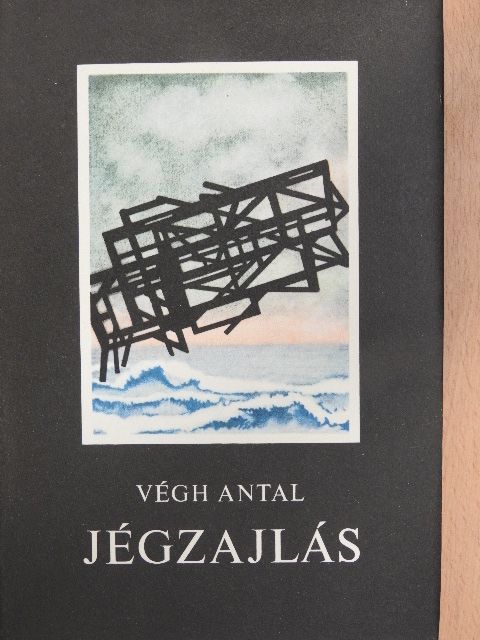 Végh Antal - Jégzajlás [antikvár]